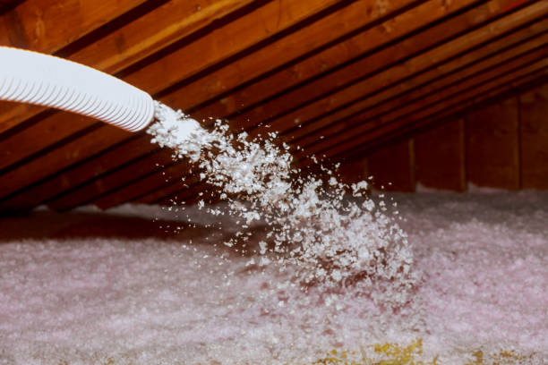 Best Insulation Maintenance and Repair in Denver, NC